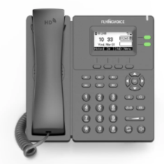 Flyingvoice P20P Dual-Line Business IP Phone 